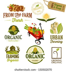 Set of Fresh Organic Labels and Elements