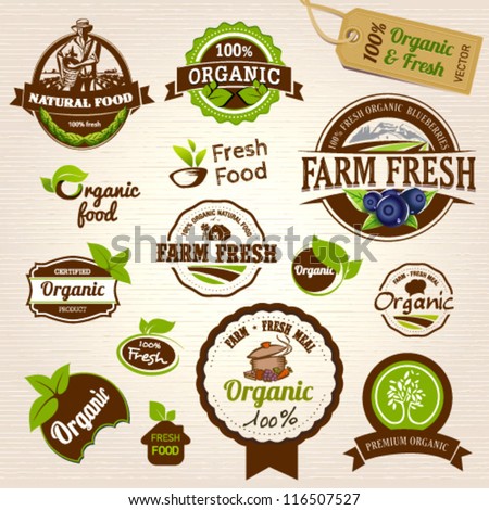 Set of Fresh Organic Labels and Elements