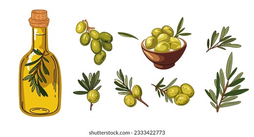 Set with fresh organic olives, branches with leaves and olive oil, vector illustration