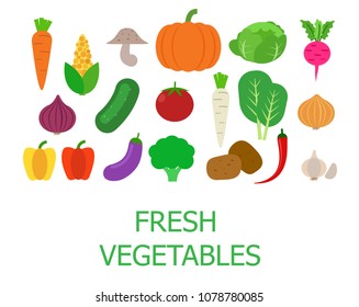 
 Set of fresh organic vegetables - Vector illustration