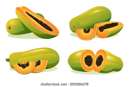 Set of fresh papaya whole, half and cut slice illustration isolated on white background