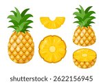 Set of fresh Pineapples tropical fruit icons. Whole pineapple, cut and pieces. Organic fruits for juice, smoothie or vitamin healthy food. Vector icons illustration isolated on white background.