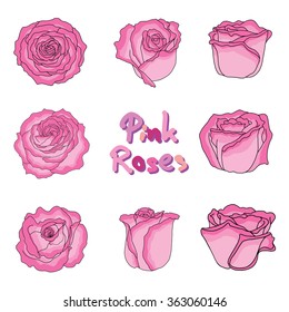 Set of fresh pink roses in hand-drawn style, vector