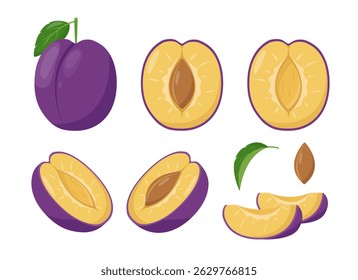 Set of fresh plums fruits icons. Whole and half plum with pit and leaves and pieces. Organic fruits for juice, smoothie or vitamin healthy food. Vector icons illustration isolated on white background.