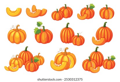 Conjunto de calabazas frescas en estilo de dibujos animados. Ilustración vectorial de calabazas amarillas y naranjas de diferentes tamaños y Formas, con semillas, mitades, enteras, en sección, con zarcillos, subgrupos y hojas. Cosecha.