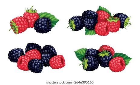 Conjunto de framboesas frescas e amoras em estilo cartoon. Ilustração vetorial de amoras deliciosas e suculentas, framboesas com folhas verdes isoladas sobre fundo branco. Bagas sazonais.
