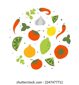 Set of fresh raw ingredients for mexican tomato sauce salsa. Flat vector illustration on white