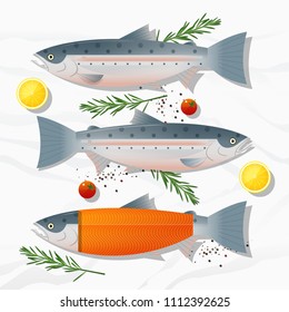Set of fresh raw salmon fish and spices isolated on marble stone background, vector, illustration