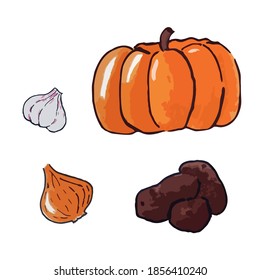 Conjunto de verduras frescas y crudas. Calabaza, cebolla, ajo, papas. Dibujo a mano libre, vector. 