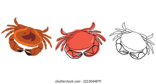 Set of fresh red crab isolated on white background. Doodle and flat style. Linear, hand drawn. Vector illustration