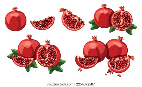 Set of fresh red pomegranates in cartoon style. Delicious pomegranate with green leaves. Vector illustration of whole and cut fruits, big and small sizes on white background.