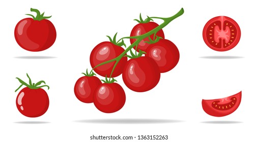 Set of Fresh Red Tomatoes isolated on white background. Branch, Whole, Half and Slice Tomato Icons for Market, Recipe Design. Organic Food. Cartoon Style. Vector illustration for Design, Web.