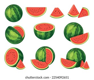 Set of fresh red watermelons in cartoon style. Triangle shaped watermelon, piece of bitten watermelon. Vector illustration of whole and cut fruits, big and small sizes on white background.