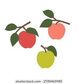 set of fresh ripe apples of different color - vector illustration