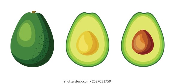 Set of fresh and ripe avocados in cartoon style. Vector illustration of delicious avocado whole and half with and without pit isolated on white background.Useful and nutritious avocados.Healthy snack.