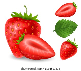 Set of fresh ripe strawberry. Whole berry with leaves and half part. Vector realistic illustration. Isolated on white background.