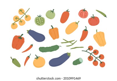Set of fresh ripe vegetables. Organic healthy veggies. Bell pepper, chili, pod radish, tomato, cucumber and jalapeno. Colored flat vector illustration of vegetarian food isolated on white background