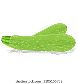 Set Of Fresh Ripe Zucchini Isolated On A White Background