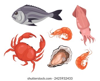 Set of fresh sea animals, fresh seafood. Vector illustration