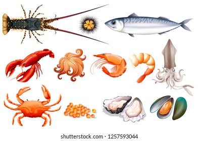 Set of fresh seafood illustration