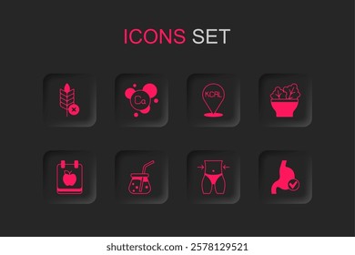 Set Fresh smoothie, Calcium, Gluten free grain, Women waist, Salad bowl, Human stomach health, Kcal and Diet plan icon. Vector