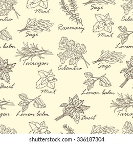 Set of fresh spices and herbs hand drawn seamless pattern. Design background vector. Illustration with vegetables icons. Decorative wallpaper, good for printing