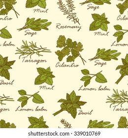Set of fresh spices and herbs hand drawn seamless pattern. Design background vector. Illustration with vegetables icons. Decorative wallpaper, good for printing