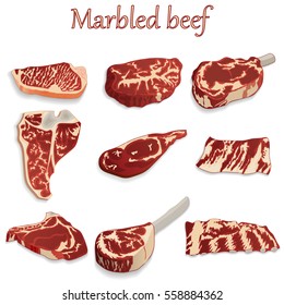 set of fresh steaks delicious marbled beef on a white background. For use as logos on cards, in printing, posters, invitations, web design and other purposes.