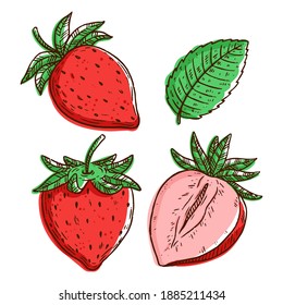 Set of fresh strawberry hand draw with color on white background