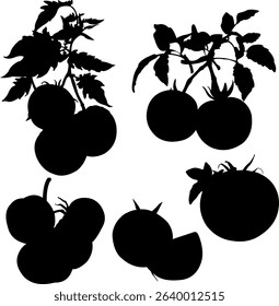 Set of fresh tomato silhouette elements, ideal for organic product branding