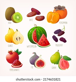 Set of fresh tropical fruit and berries with names. Isolated vector images of tasty sweet exotic organic grocery.