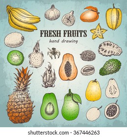 Set of fresh tropical fruits in sketch style. Vector  illustration for your design