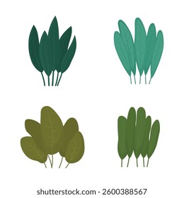 Set of Fresh Tropical Leaves Foliage Natural Plant in the Park Garden