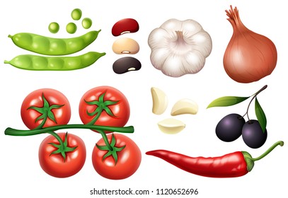 A Set of Fresh Vegetable illustration