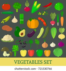 A set of fresh vegetable illustrations on a dark background./A set of vegetables. Organic vegetarian healthy food isolated on a dark background. Vector.