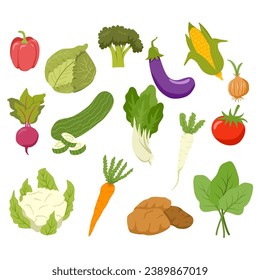 Set of Fresh Vegetable Vector Illustration