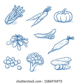 Set of fresh vegetables: broccoli, lettuce, carrots, chickpeas, radish and cucumber. Hand drawn doodle vector illustration.