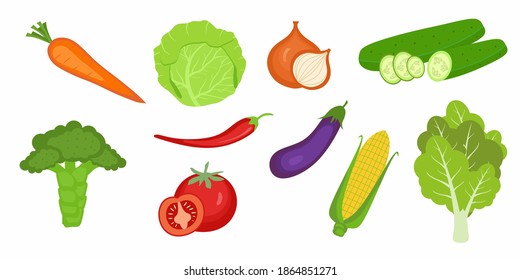 Set von frischem Gemüse. Möhren, Gurken, Brokkoli, Zwiebeln, Kohl, Tomate, Chilis. Frisches Gemüse vom Agrarmarkt. Konzept des gesunden Essens. Vektorgrafiken einzeln auf weißem Hintergrund.