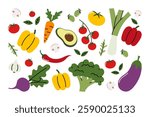 Set of fresh vegetables. Colorful flat design of healthy food ingredients, organic farm produce, including tomato, pepper, carrot, avocado, broccoli, leek, eggplant, chili, mushroom, herbs, and more.