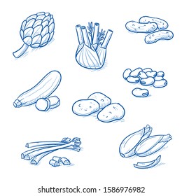 Set of fresh vegetables: courgette, artichoke, fennel, pikle, fava beans, rhubarb and potatoes. Hand drawn doodle vector illustration.