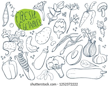 Set of fresh vegetables. Doodles hand drawn sketchy vector symbols and objects.