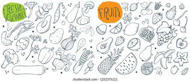 Set of fresh vegetables, fruits. Doodles hand drawn sketchy vector symbols and objects.