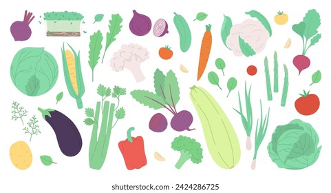 Conjunto de verduras frescas y hierbas aisladas en blanco. Ilustración vectorial moderna en un estilo dibujado a mano.