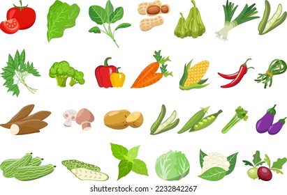 Set of fresh vegetables illustration