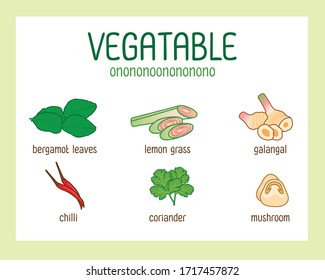 Set of fresh vegetables, Isolated, Healthy food concept background, organic farm fresh vegetables, Vector Illustration