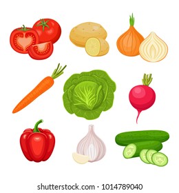  Set of fresh vegetables  isolated on white background. Tomato, potato, onion, carrot, cabbage, radish, pepper, garlic, cucumber. Vector colorful icons. 