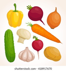 Set of fresh vegetables isolated on background. Vector illustration. Collection of potato, carrot, beet, radish, onion, garlic, mushroom, cucumber, sweet pepper.  Food template.