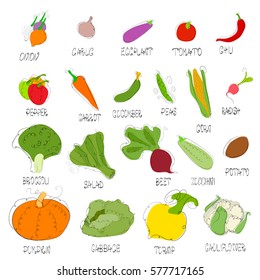 Set fresh vegetables with line art elements. Great for design of healthy lifestyle and different advertising projects. Vector illustration