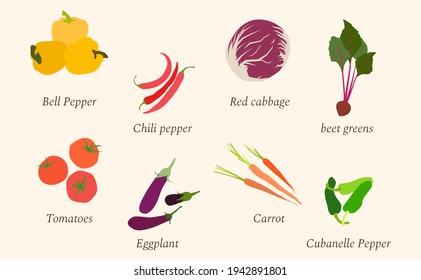 Set of fresh vegetables made in flat design. Tomatoes, eggplant, chili pepper, red cabbage, carrot, cubanelle pepper, beet root, bell pepper. Vector illustration EPS 10.