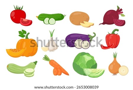 Set of fresh vegetables with pieces. Pumpkin, potato, eggplant and zucchini, tomato, cabbage and paprika, cucumber, carrot and beet, onion and garlic. Vector icons illustration isolated on white.